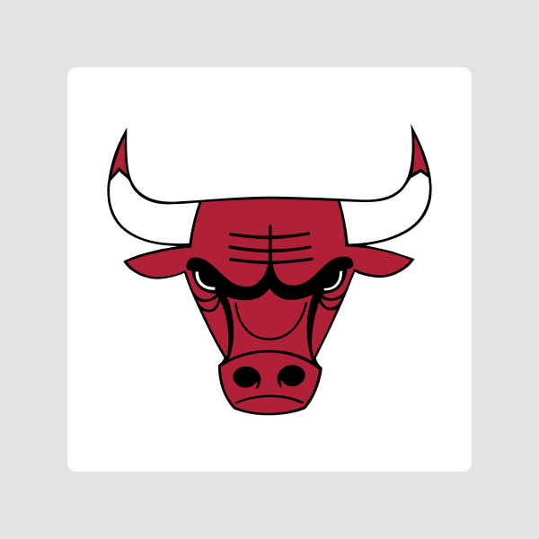 CHICAGO BULLS