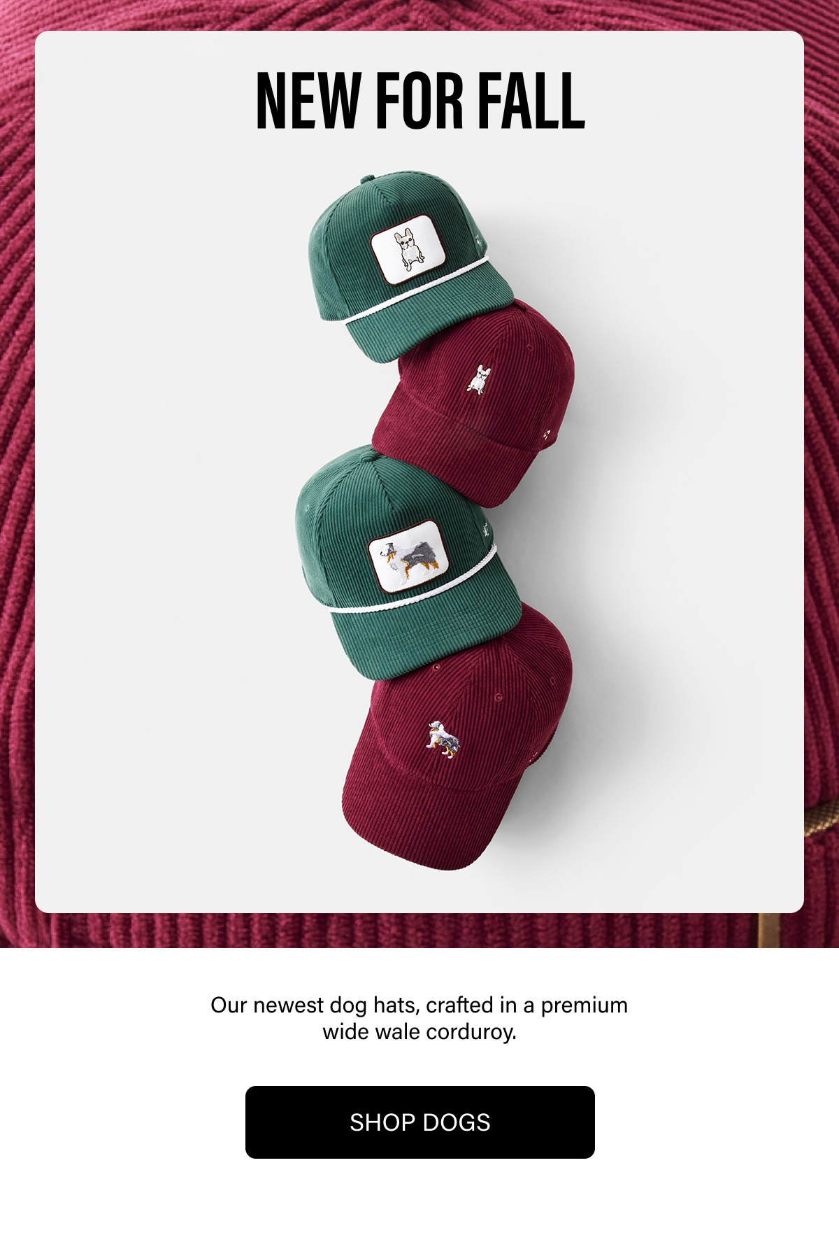 NEW FOR FALL Our newest dog hats, crafted in a premium wide wale corduroy. SHOP DOGS