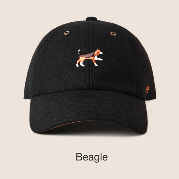 Beagle