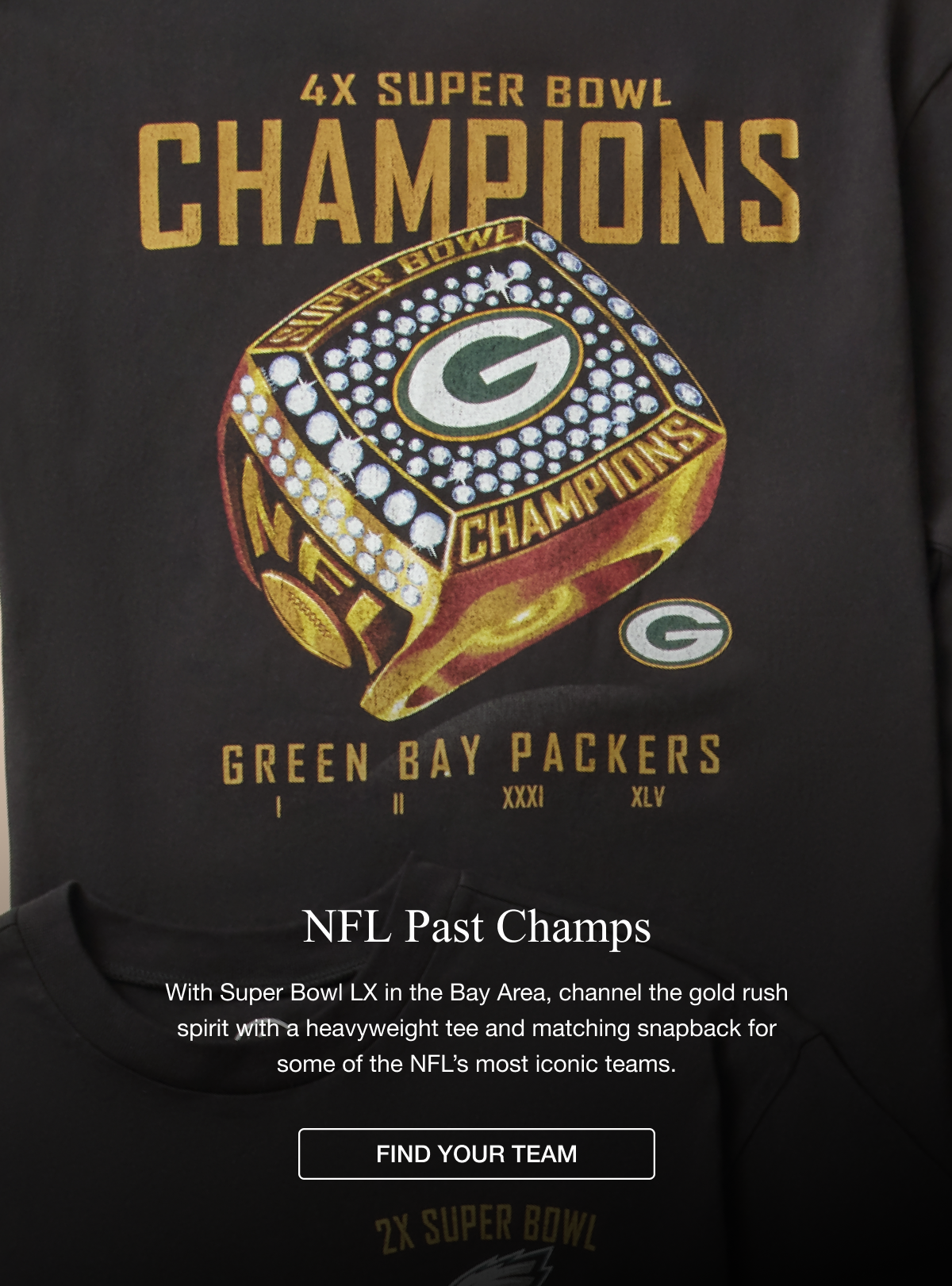 NFL Past Champs - FIND YOUR TEAM