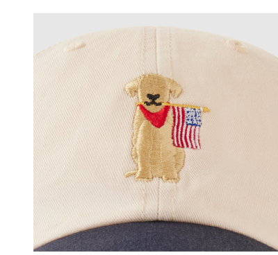 Yellow Lab