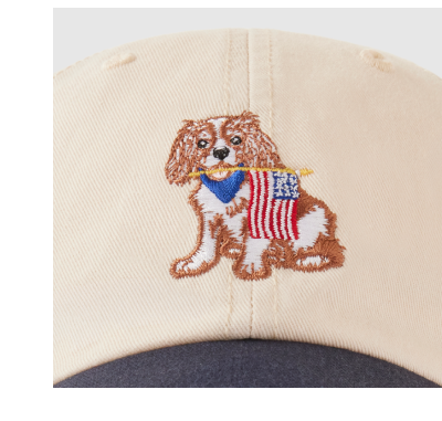 Cavalier King Charles Spaniel
