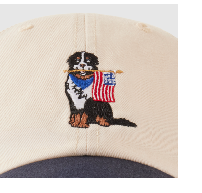 Bernese Mountain Dog