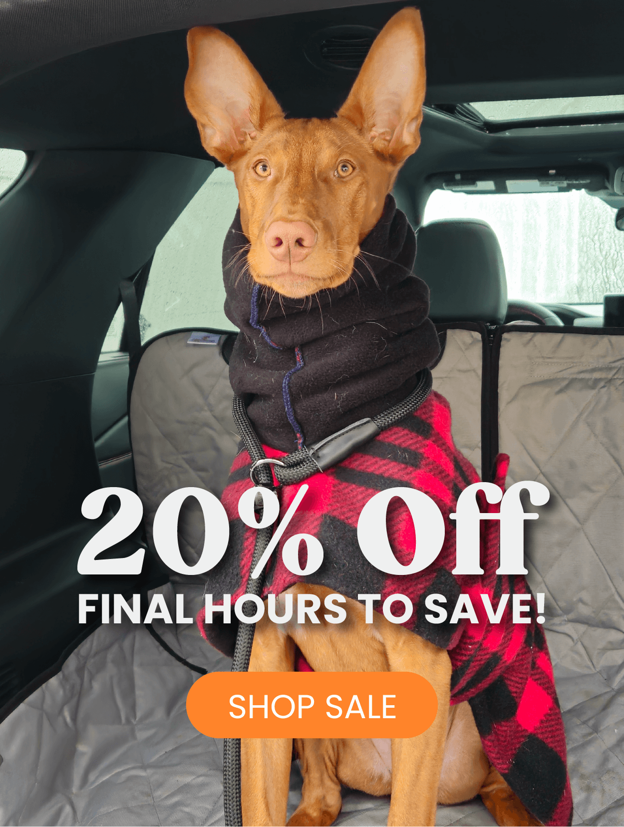 20% OFF FINAL HOURS