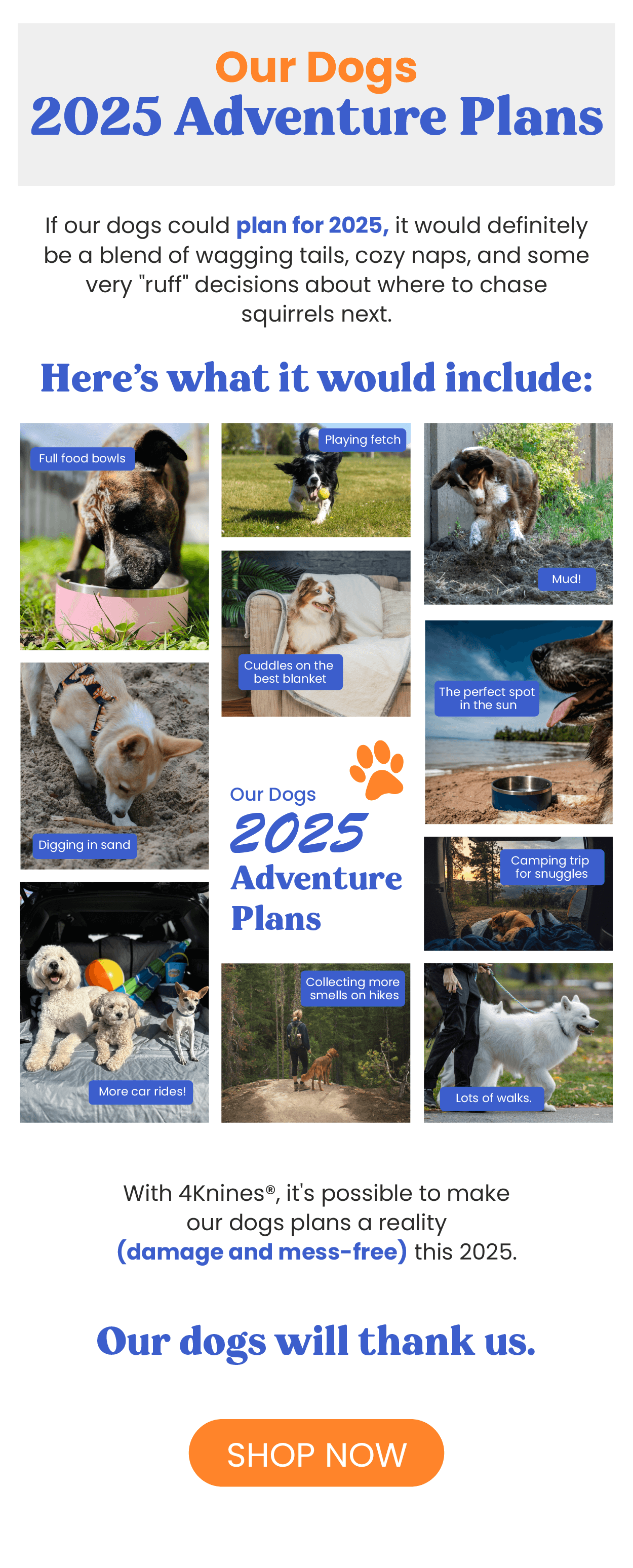 Your Dog's 2025 Adventure Plans