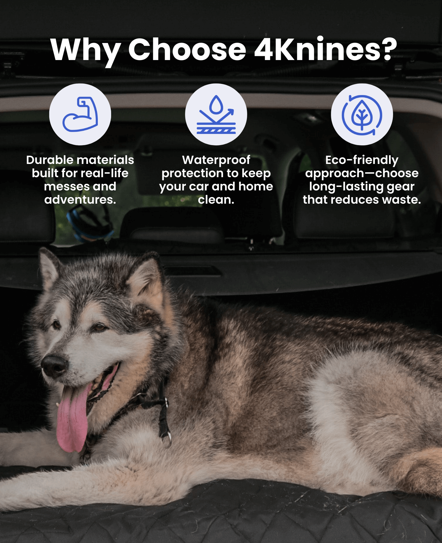 Why Choose 4Knines?