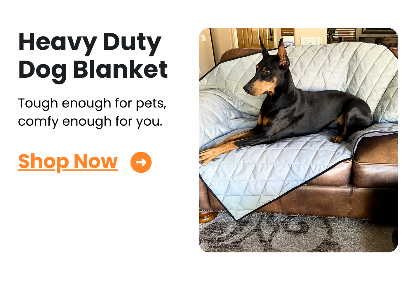 Shop Heavy Duty Dog Blanket
