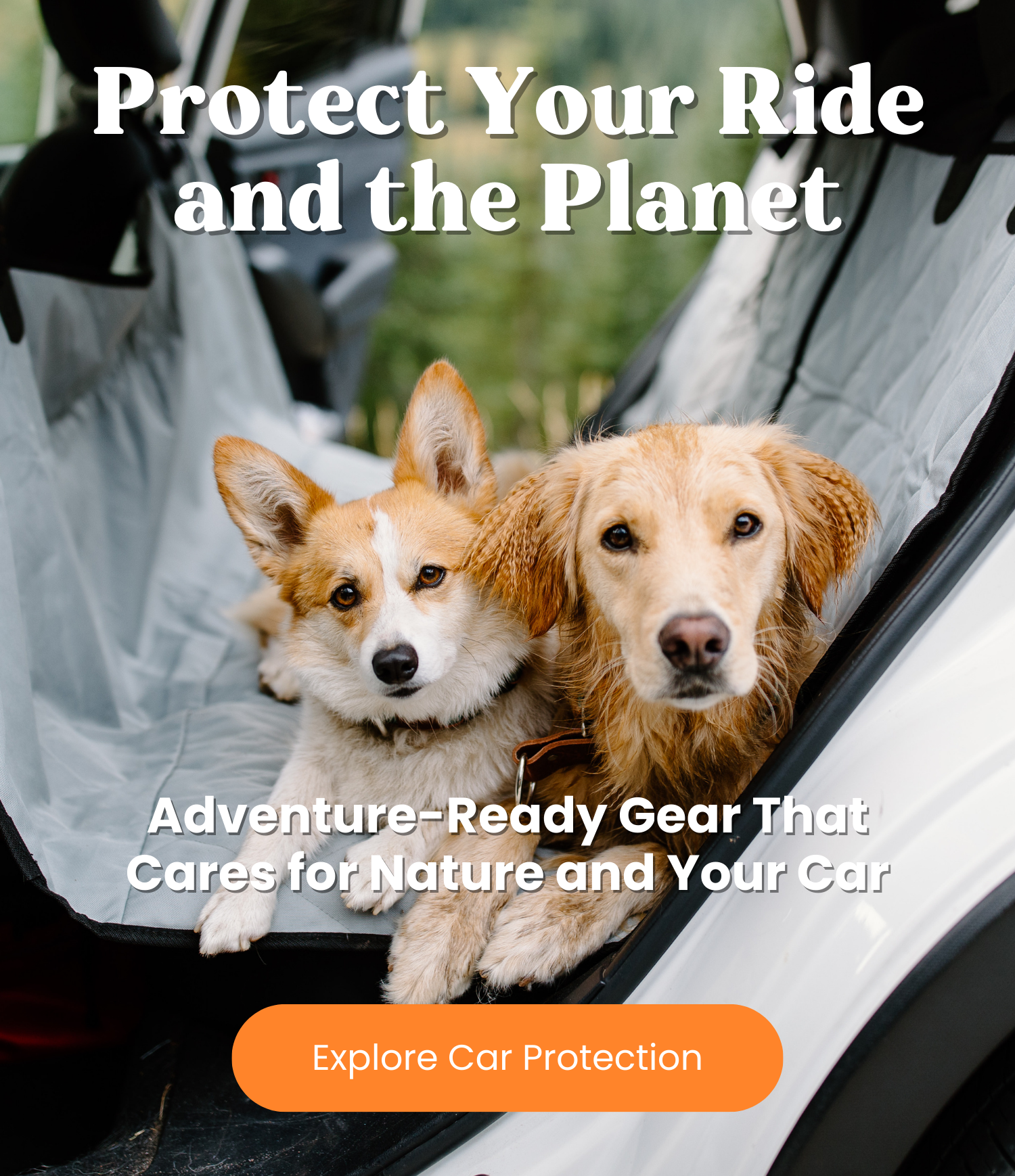 Protect Your Ride and the Planet
