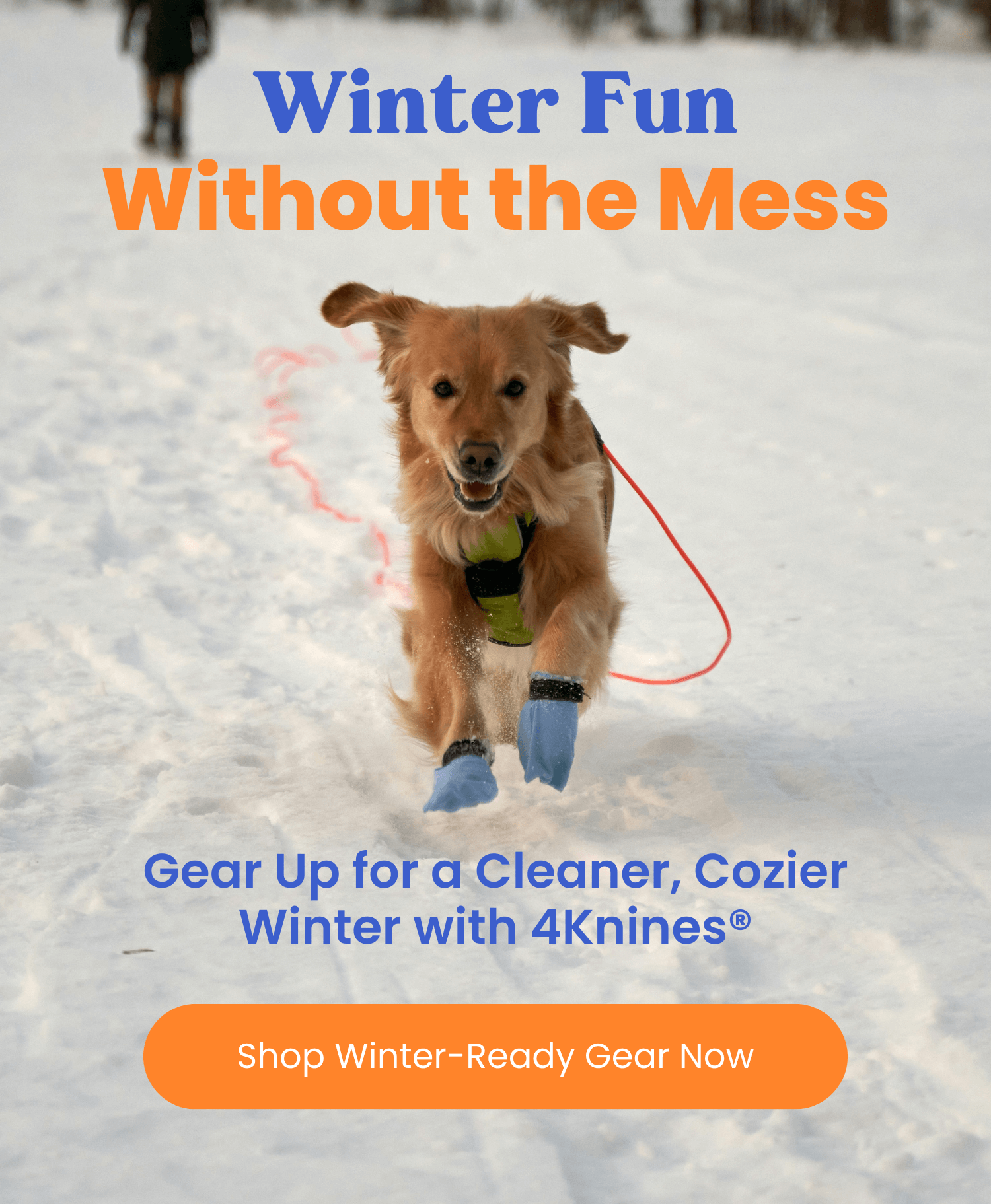 Winter Fun Without the Mess