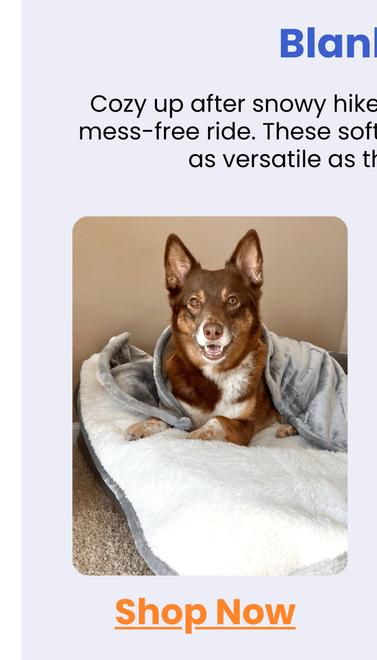 Waterproof Plush Dog Blanket