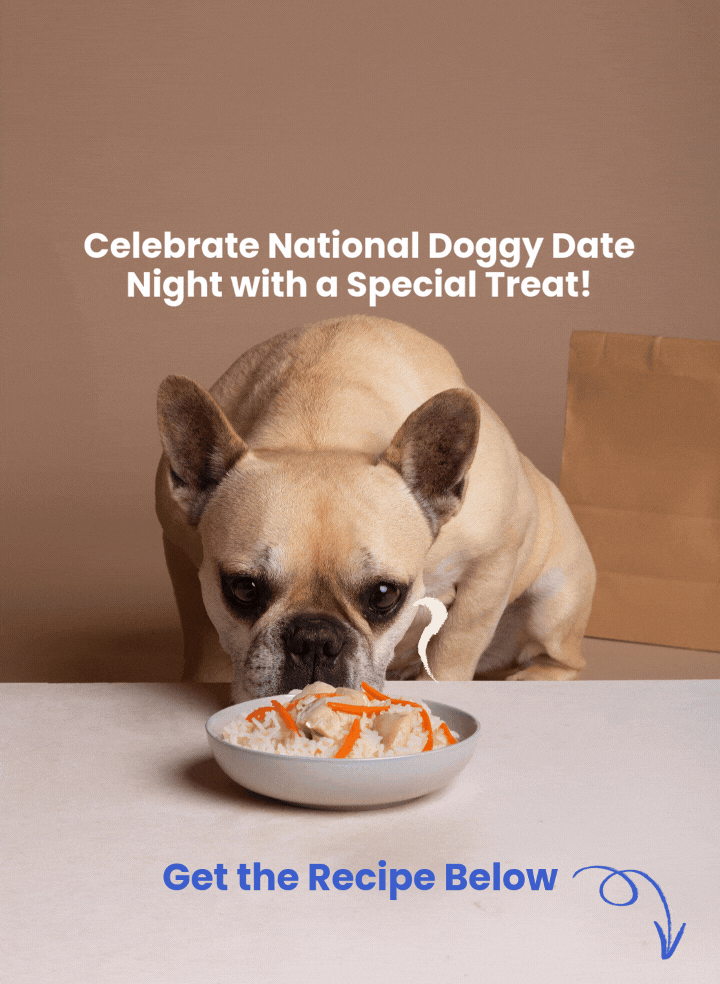 Pawfect Chicken & Rice Bowl