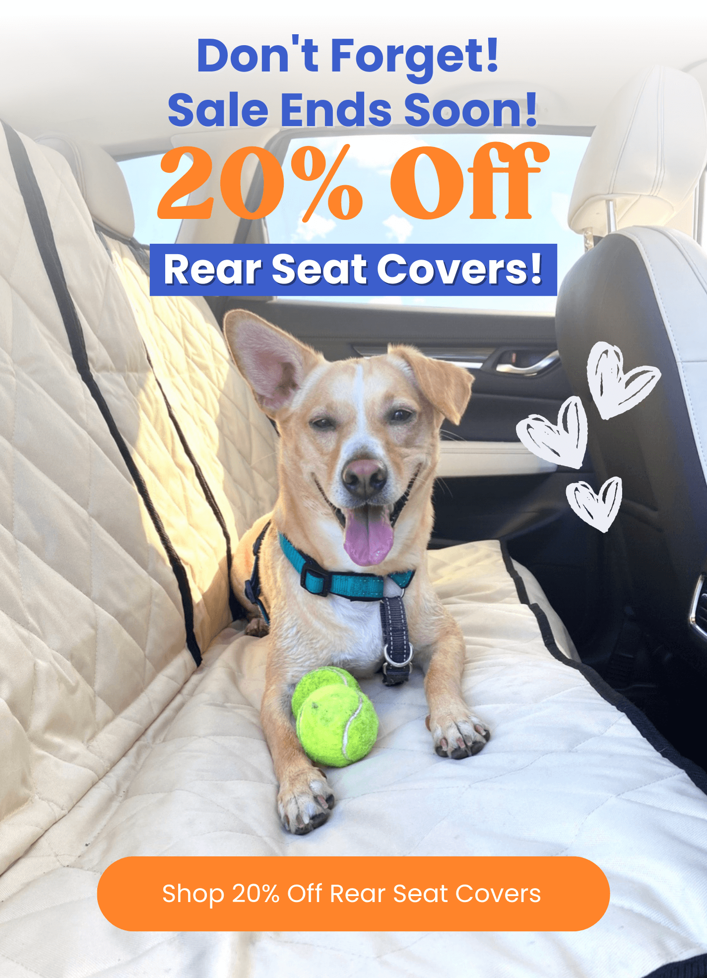 20% OFF Rear seat covers