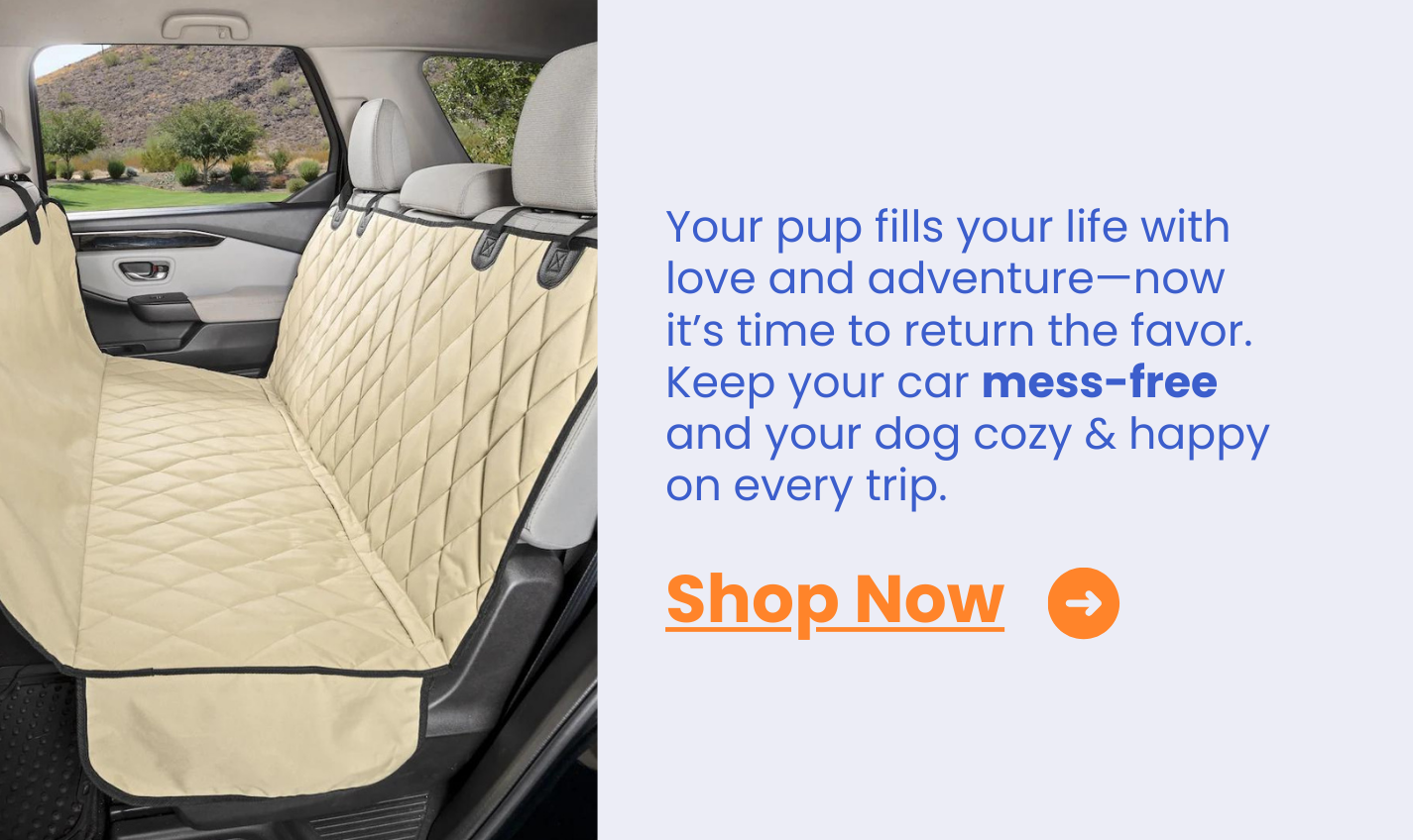 Final hours to save 20%