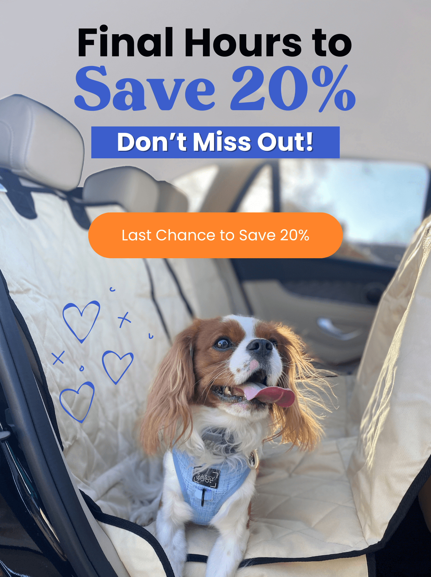 Last Chance to Save 20%