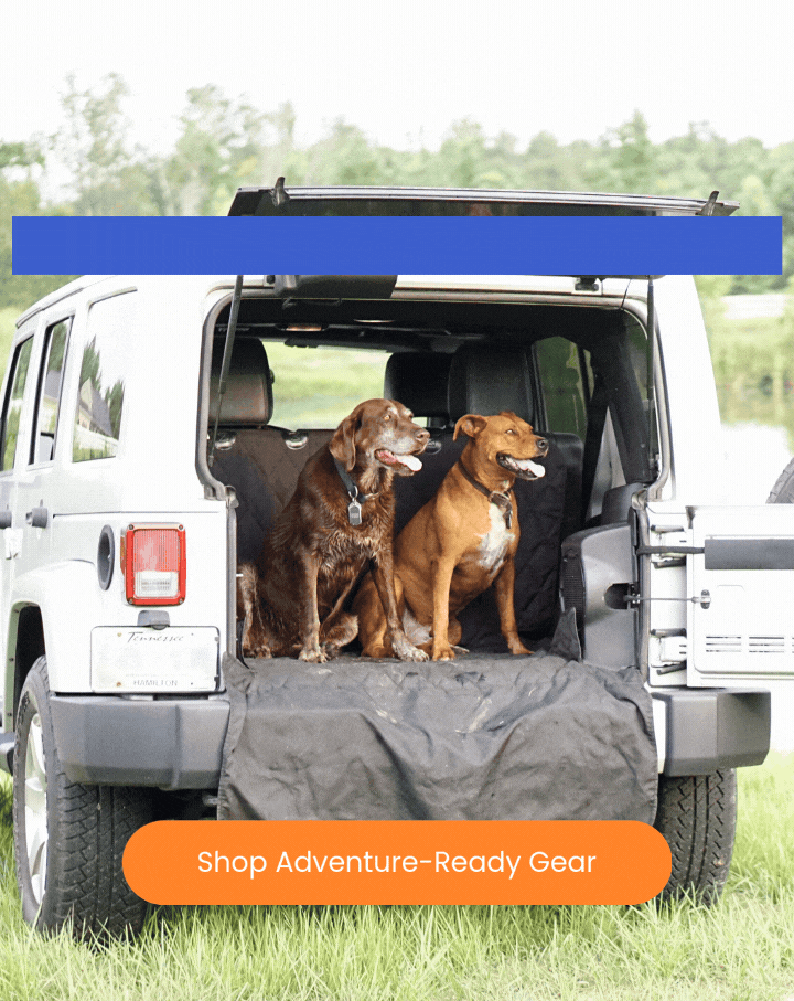 Celebrate National Love Your Pet Day