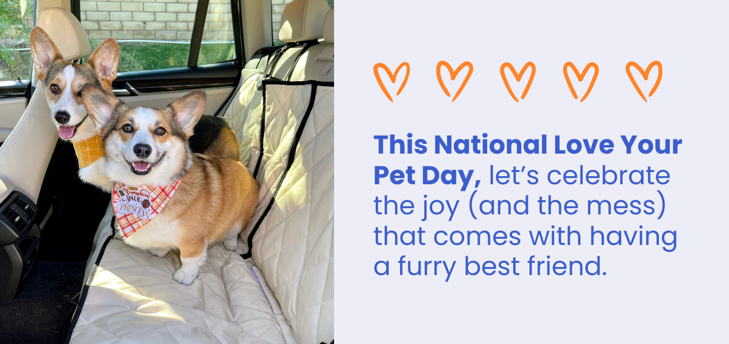 National Love Your Pet Day