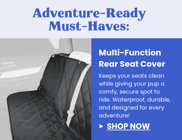 Multi-Function Rear Seat Cover