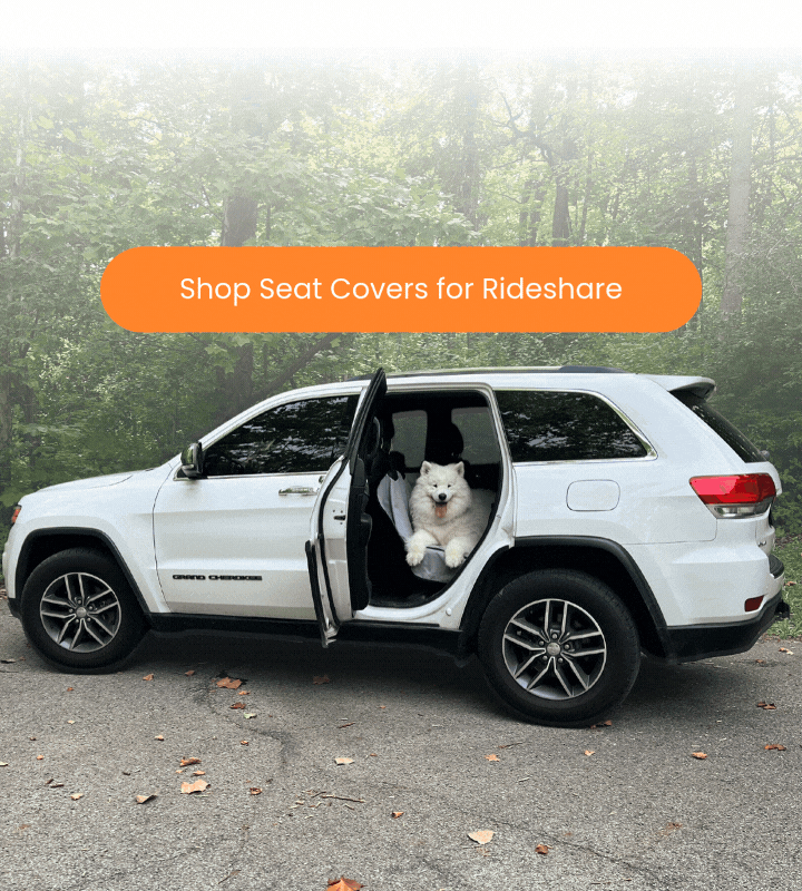 Rideshare or Carpool Ready?