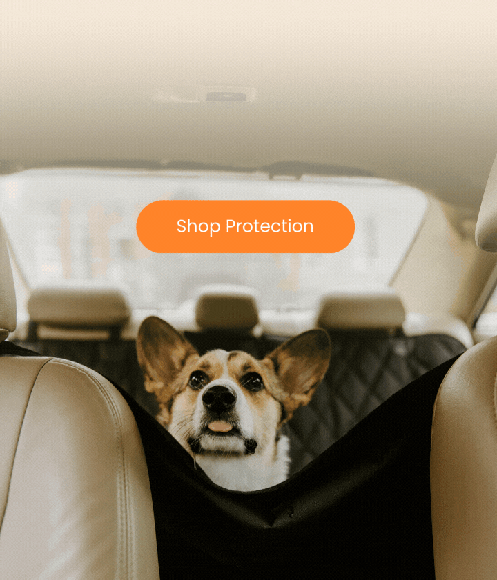 Meet K9-SHIELD
