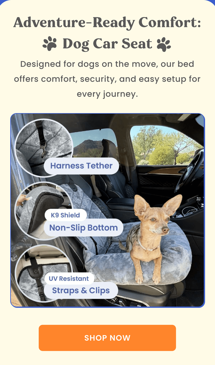 Layer: Benefits_332:134.png