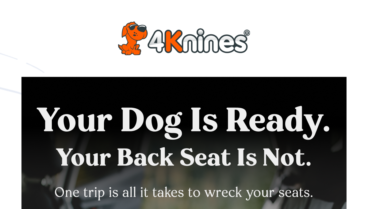Your dog is ready