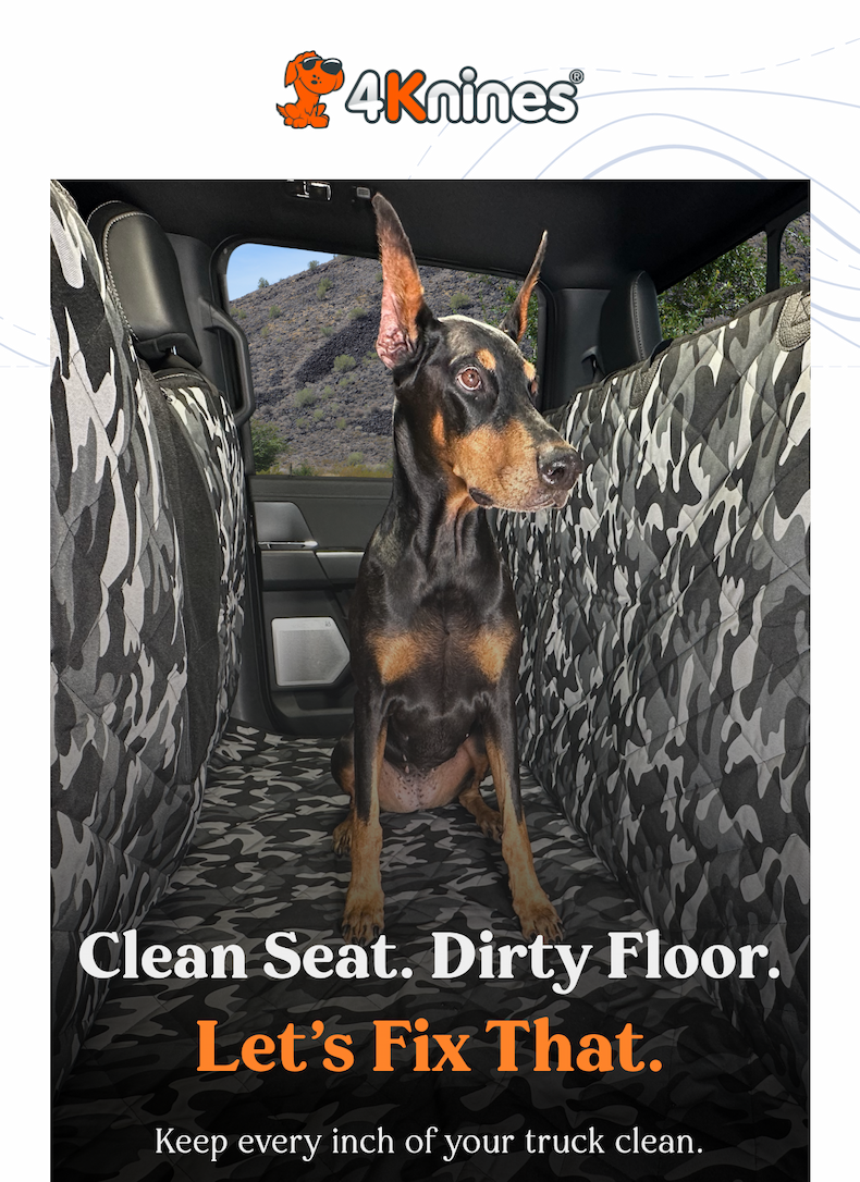Clean Seat, Dirty Floor Let's Fix That