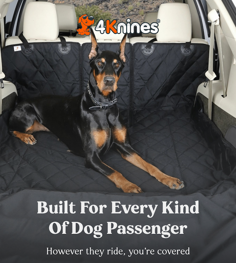 Built For Every Kind Of Dog Passenger