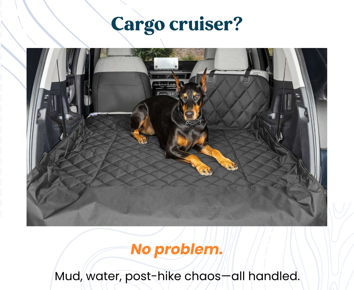 Cargo cruiser?