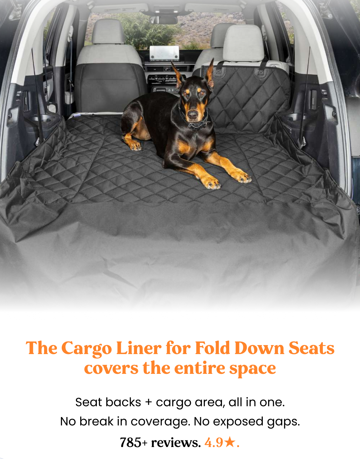 covers the entire space