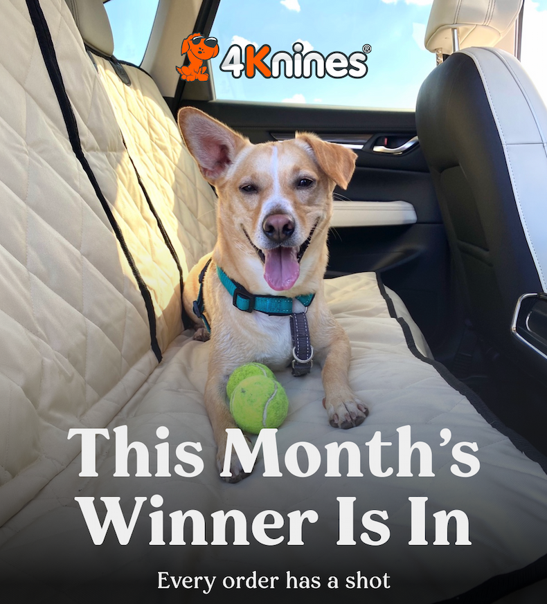 This Month's Winner is in