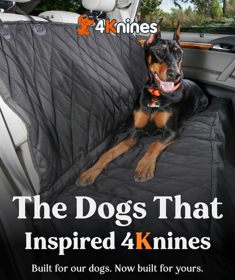 The Dogs That Inspired 4Knines