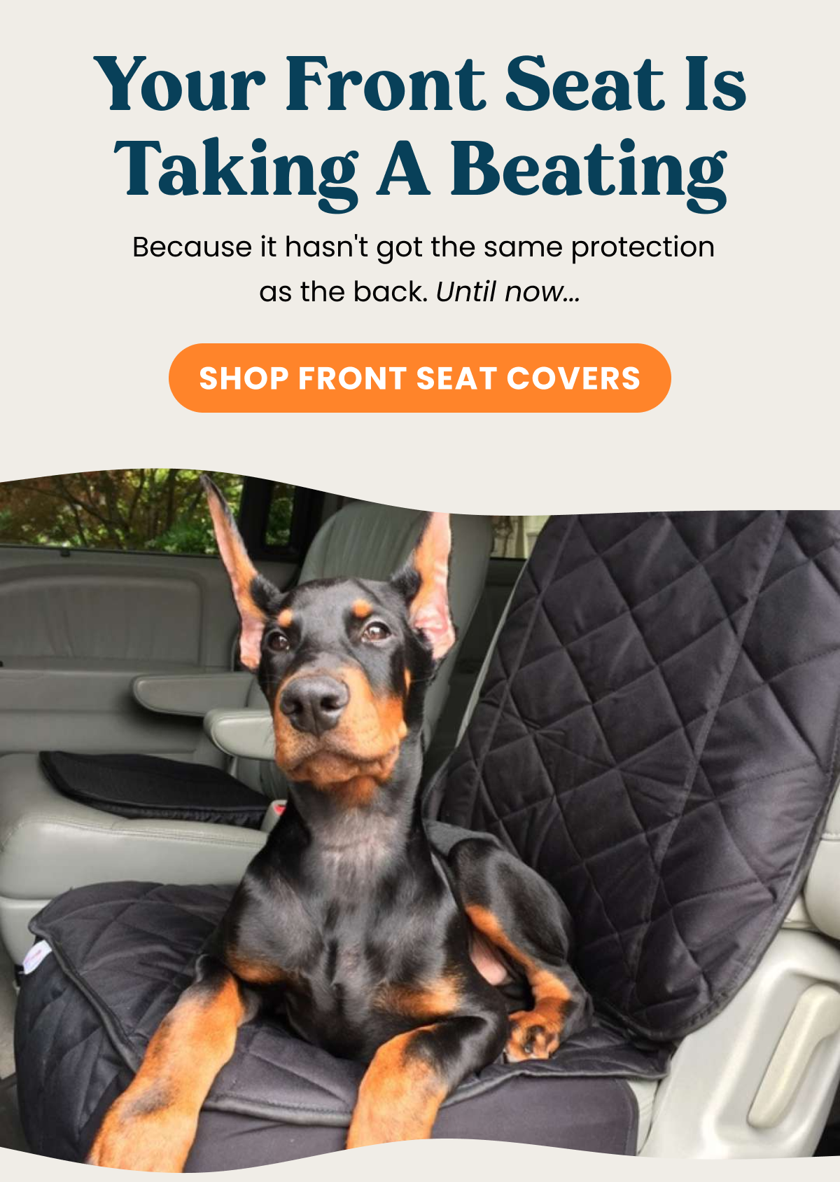 Your front seat is taking a beating