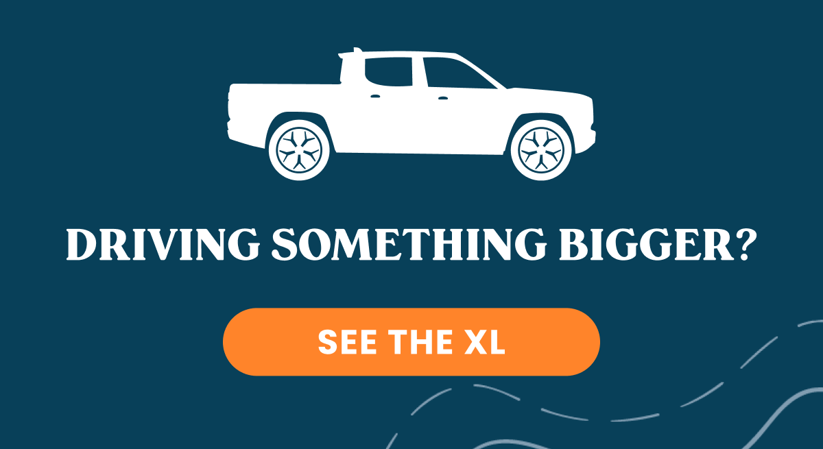 SEE THE XL