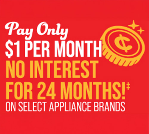 24 Month Special Financing