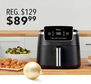 Ninja Air Fryer Pro 4-in-1