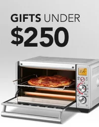 Gifts Under $250