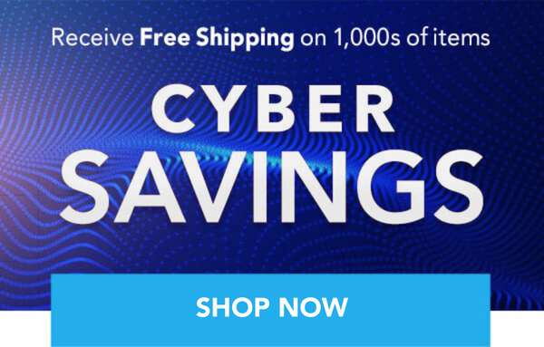 CYBER SAVINGS FINAL DAY