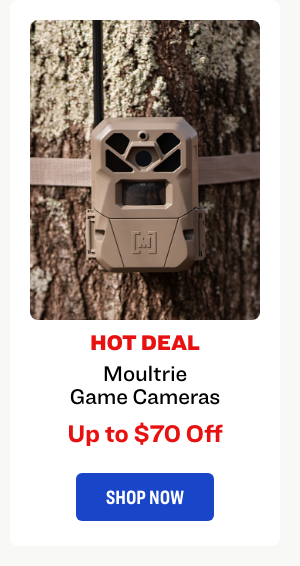  "Moultrie