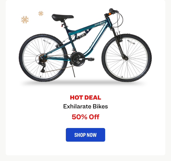 Exhilarate Bike