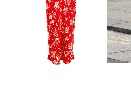 Paisley Skirt
