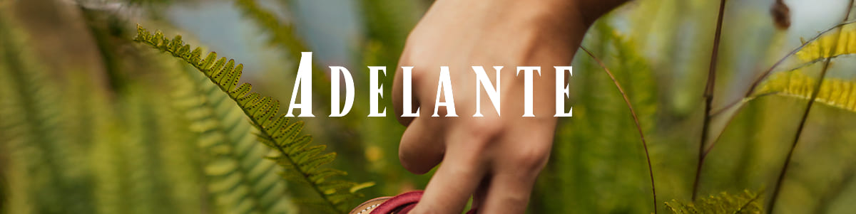 Adelante