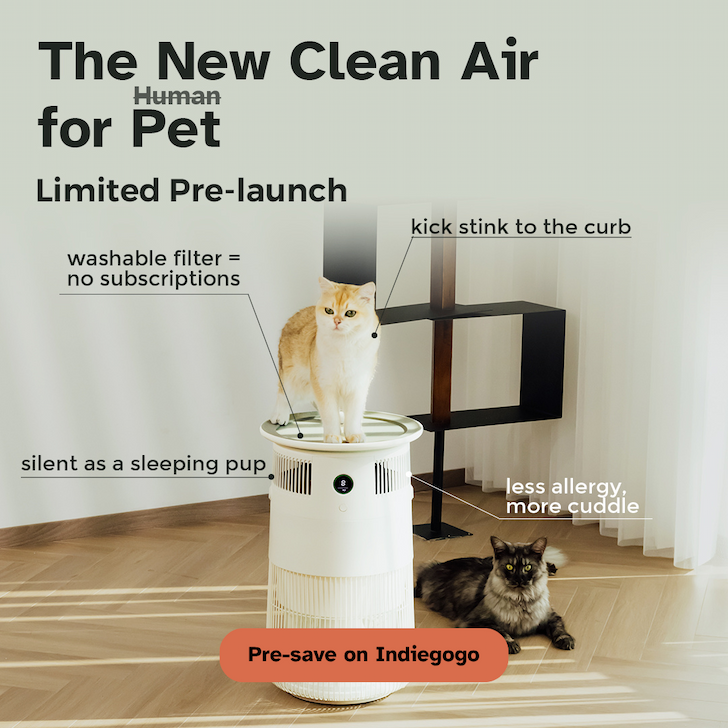 Cats standing on and next to Airdog P50 Air Purifier, with product benefits addressing odor cleaning, allergens eliminating, washable filters and silent operation.
