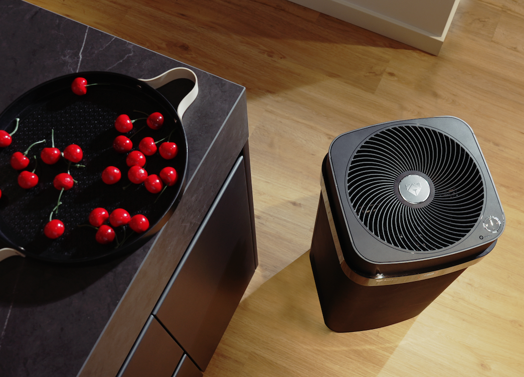Airdog next to a kitchen counter with pan with tomatoes in it