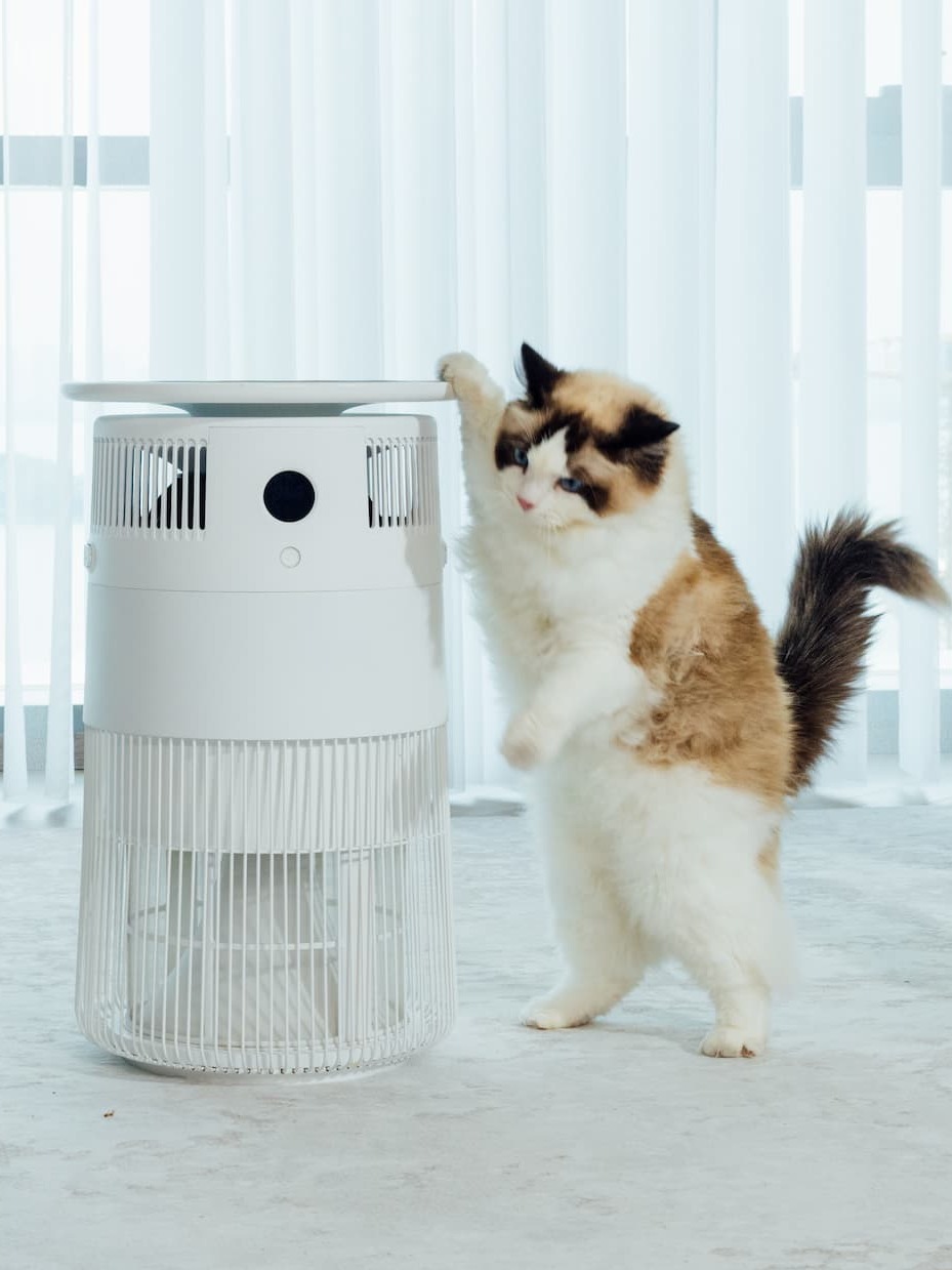 Airdog P50 Pet Air Purifier