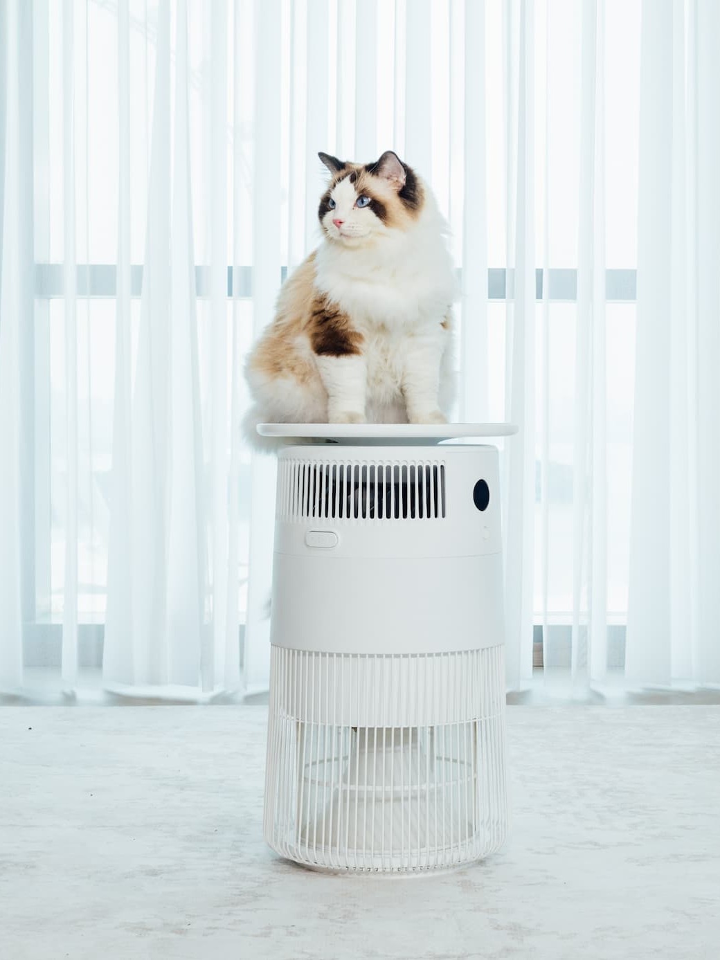 Airdog P50 Air Purifier