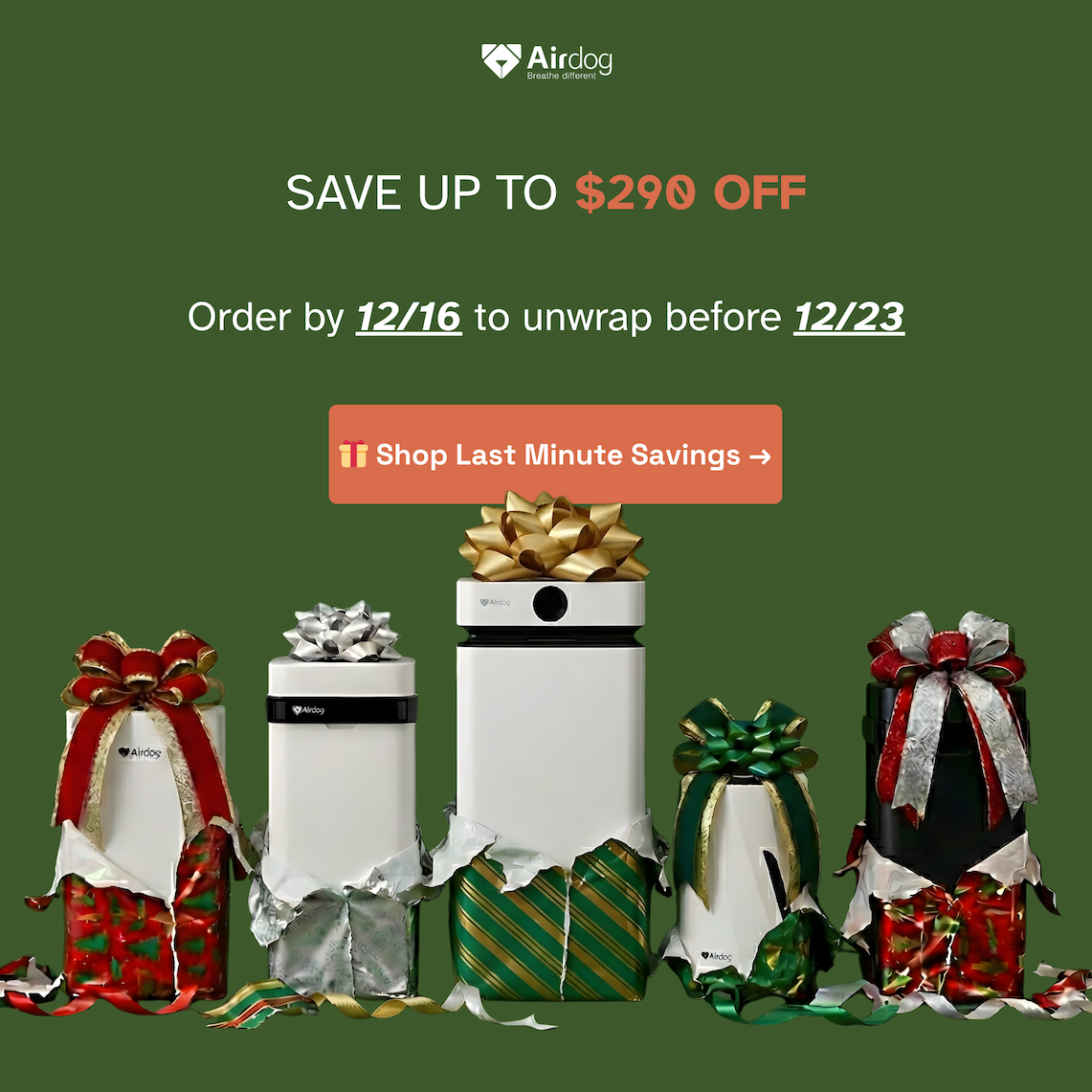 Shop Holiday Savings