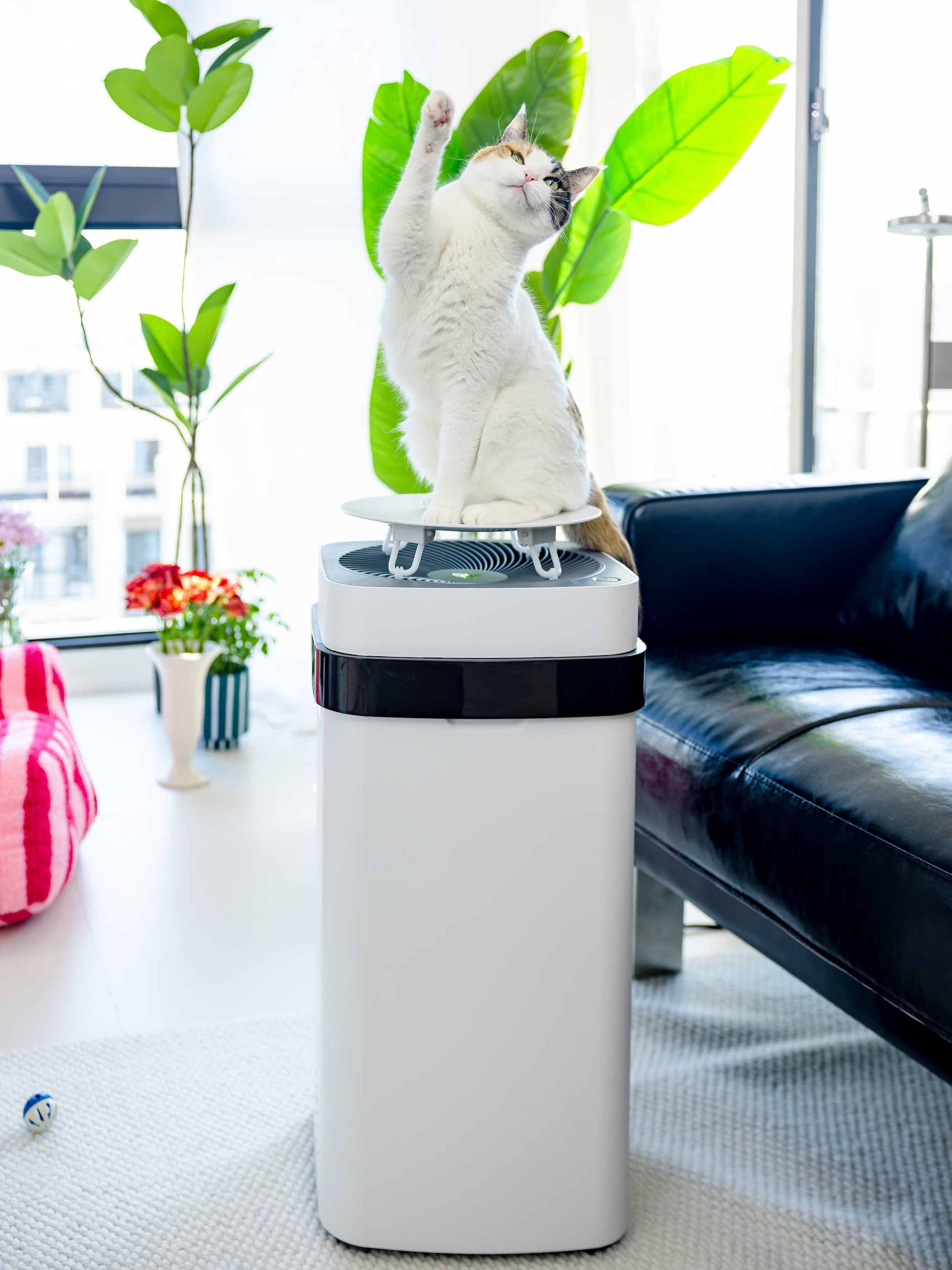 Airdog Pet Air Purifier