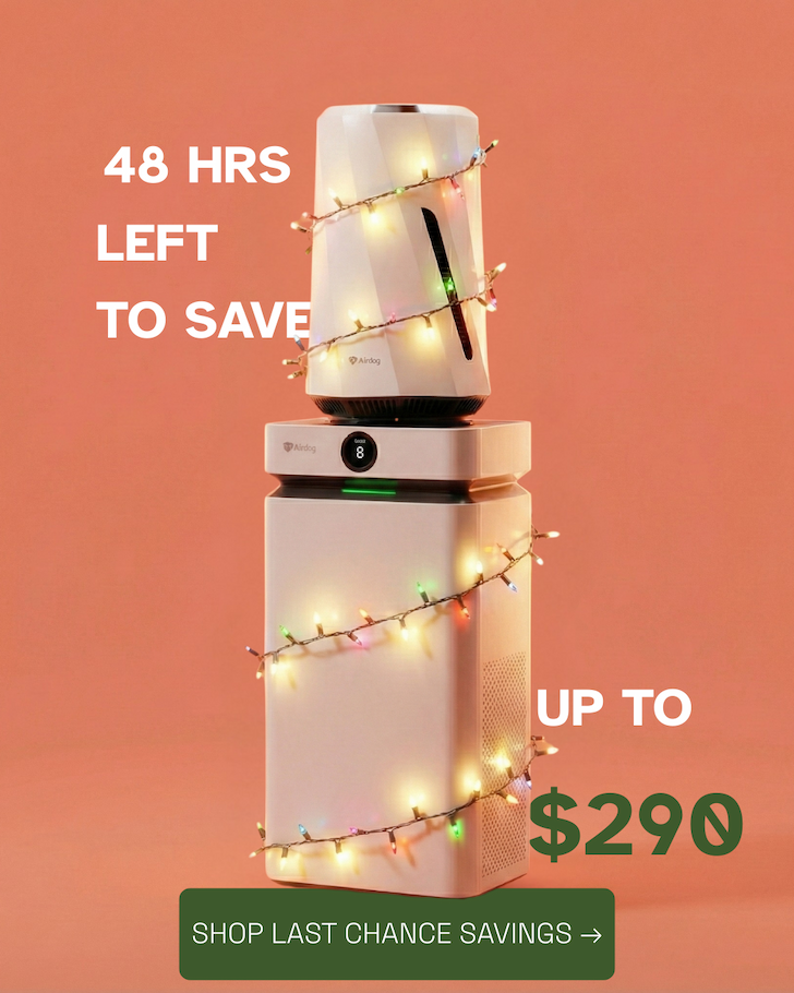 Shop Holiday Savings
