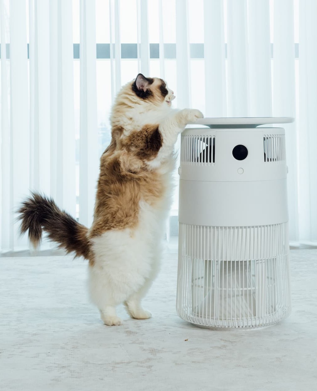 Airdog P50 Pet Air Purifier