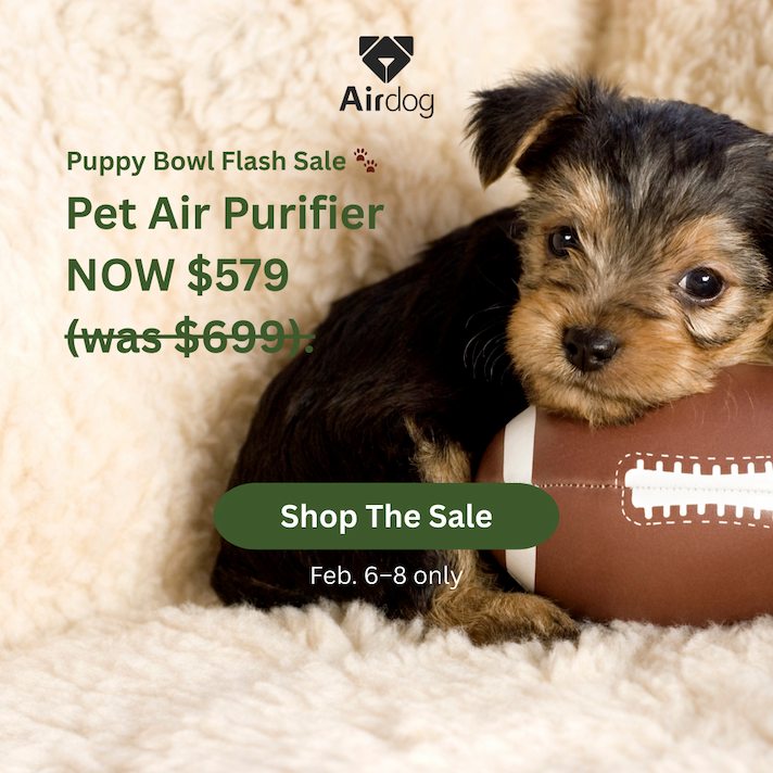 Puppy Bowl Flash Sale
